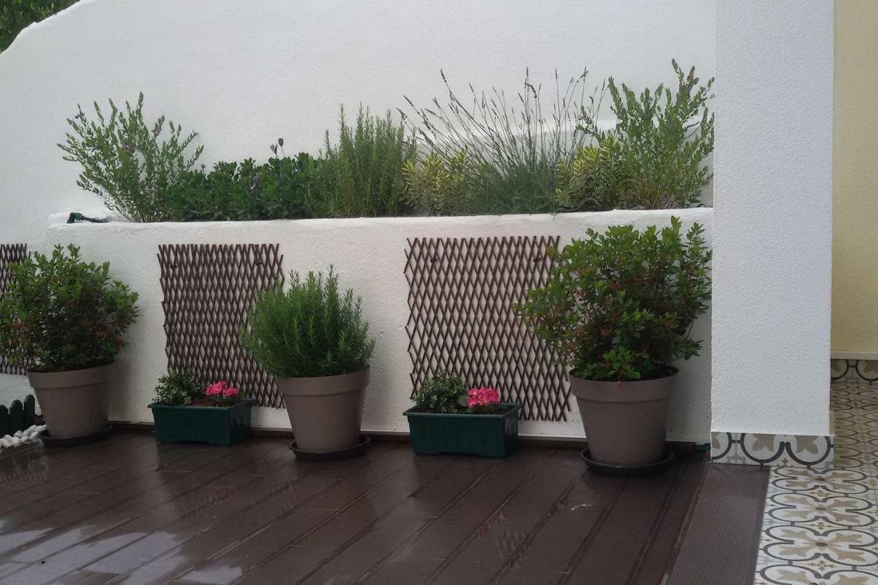 Sunny Orange Garden Apartment In Central Lisboa Екстериор снимка