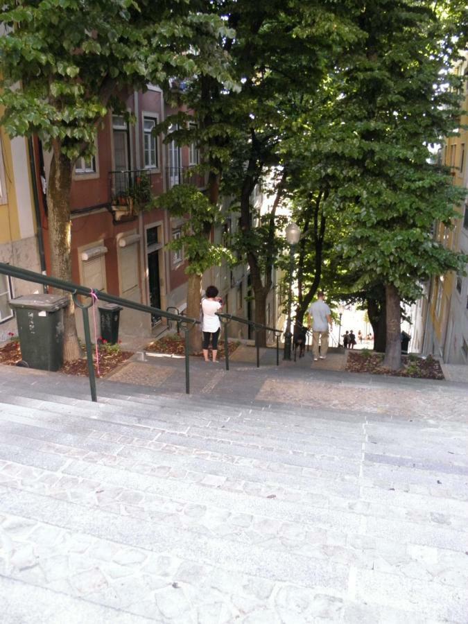 Sunny Orange Garden Apartment In Central Lisboa Екстериор снимка