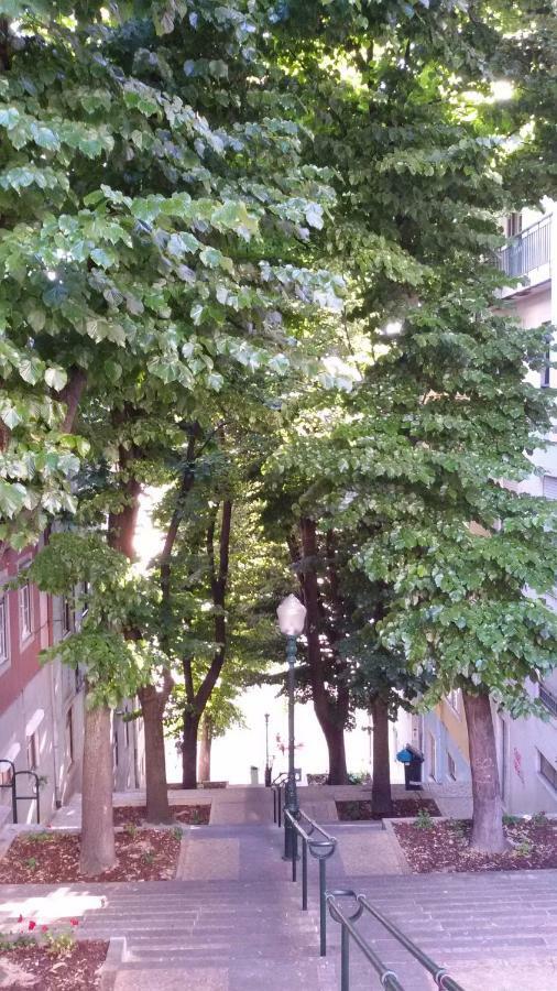 Sunny Orange Garden Apartment In Central Lisboa Екстериор снимка