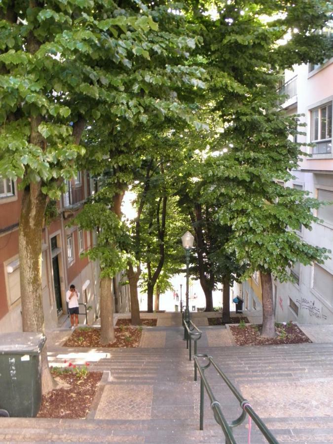 Sunny Orange Garden Apartment In Central Lisboa Екстериор снимка